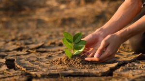 pollution and climate change can threaten fertility / Umweltverschmutzung und Klkimawandel können die Fruchtbarkeit gefährden