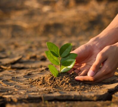 pollution and climate change can threaten fertility / Umweltverschmutzung und Klkimawandel können die Fruchtbarkeit gefährden